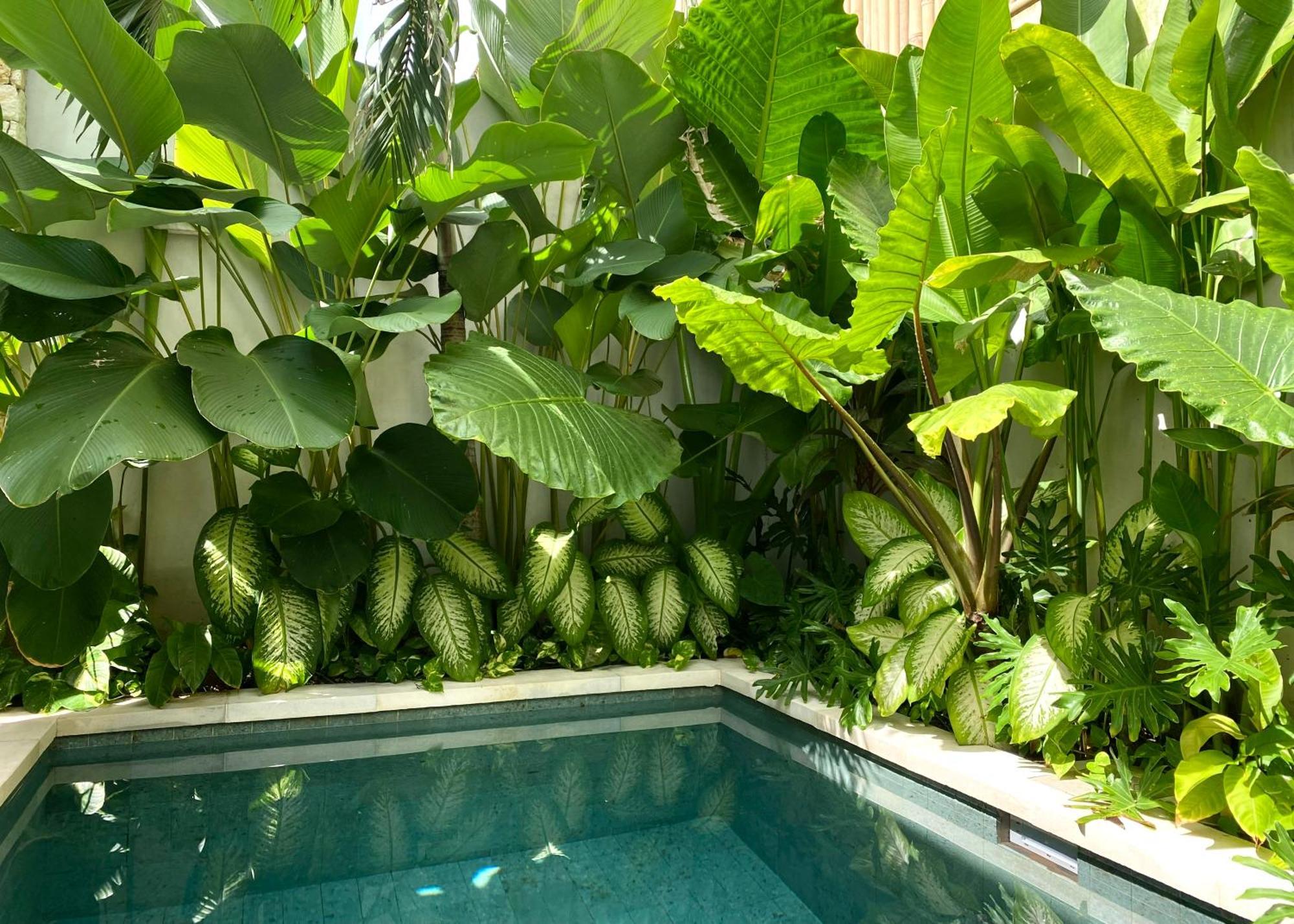 Alma Bingin Boutique Hotel Uluwatu Eksteriør bilde
